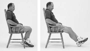 seated knee flexion