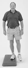 Physical Therapy and Exercises for the Hip- Single Leg Step-Up Physical Therapy and Exercises for the Hip- Single Leg Step-Up